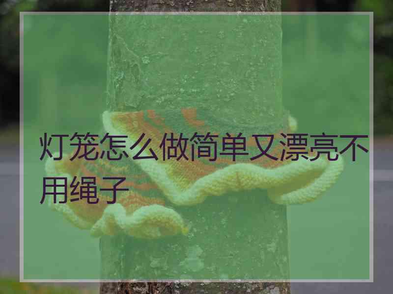 灯笼怎么做简单又漂亮不用绳子