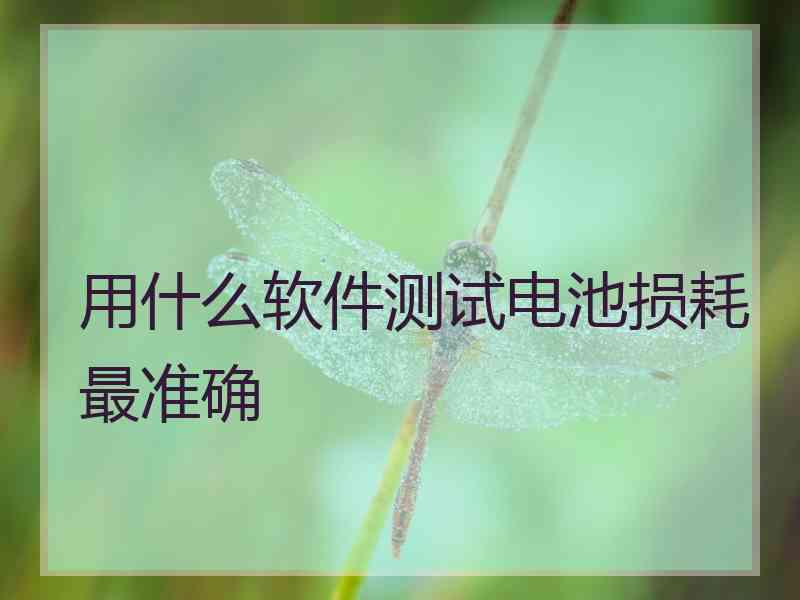 用什么软件测试电池损耗最准确