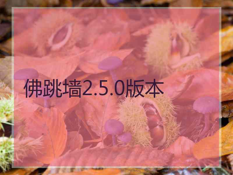 佛跳墙2.5.0版本
