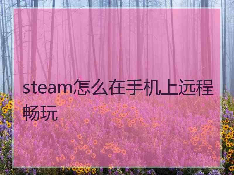 steam怎么在手机上远程畅玩