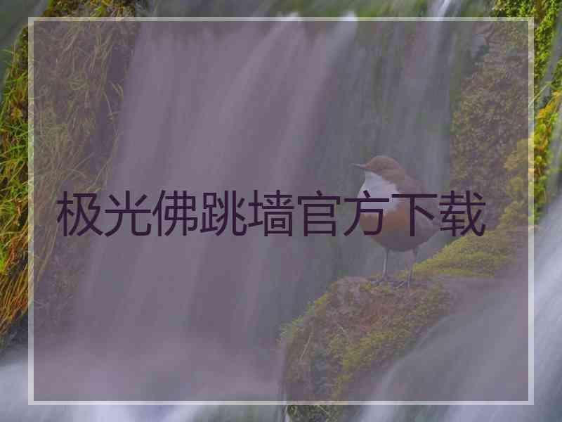 极光佛跳墙官方下载
