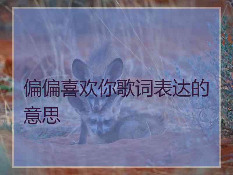 偏偏喜欢你歌词表达的意思