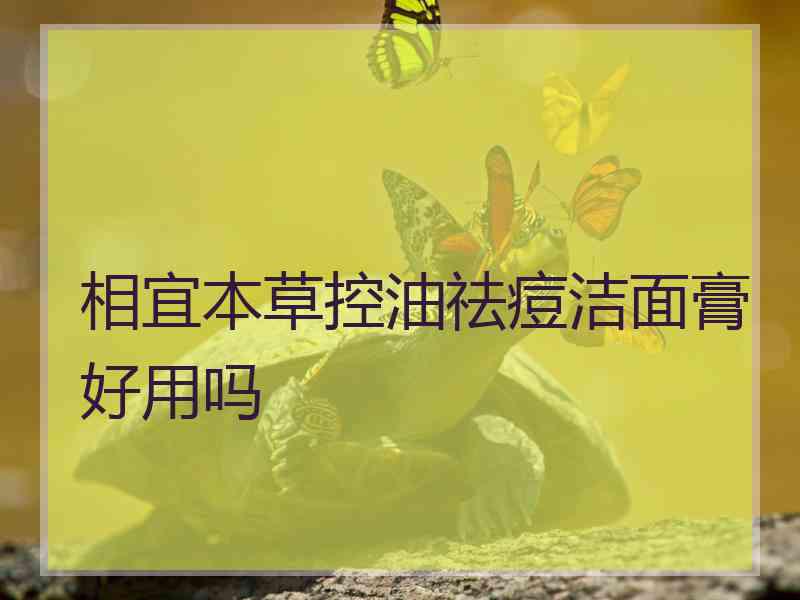 相宜本草控油祛痘洁面膏好用吗