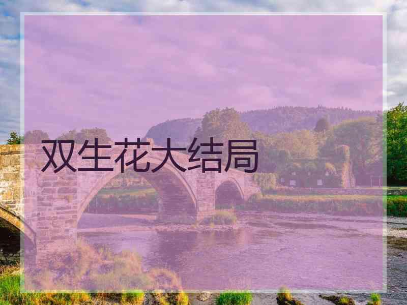 双生花大结局