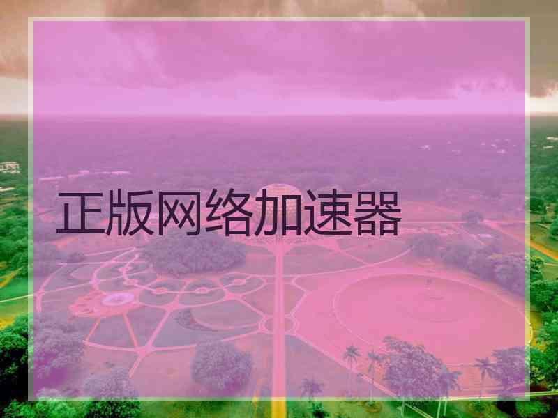正版网络加速器