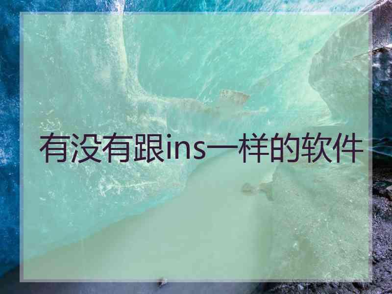 有没有跟ins一样的软件