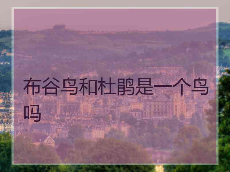 布谷鸟和杜鹃是一个鸟吗