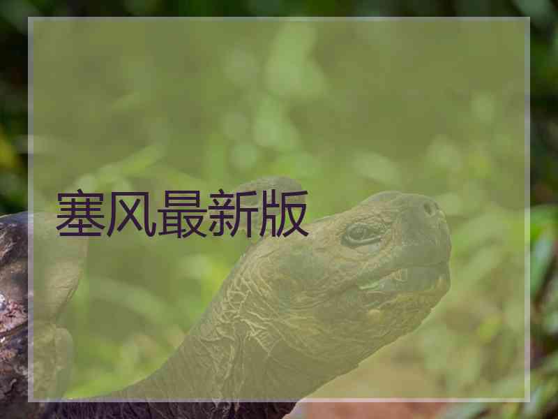 塞风最新版