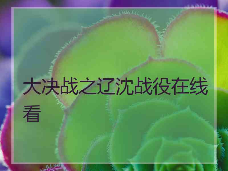 大决战之辽沈战役在线看