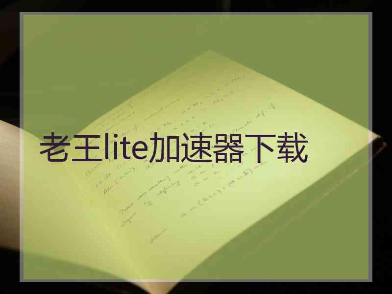 老王lite加速器下载