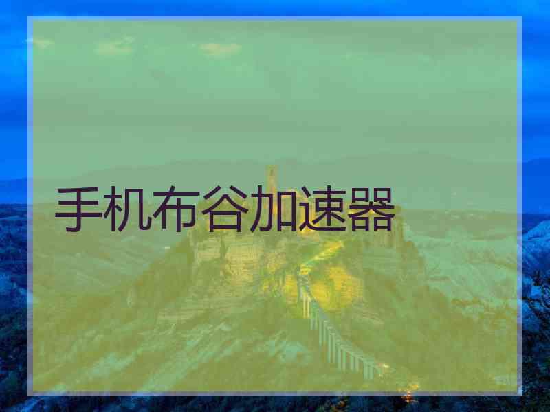 手机布谷加速器