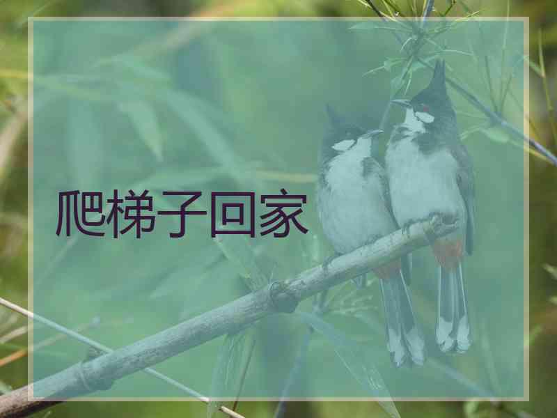 爬梯子回家