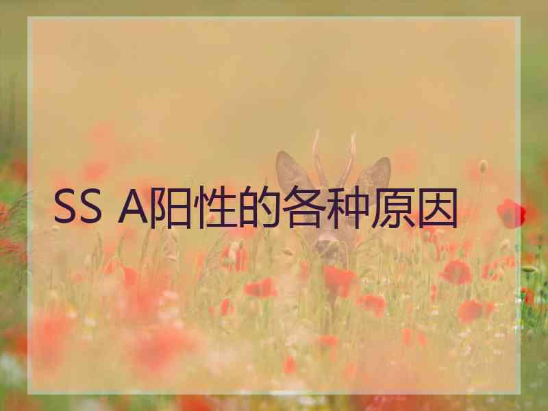SS A阳性的各种原因