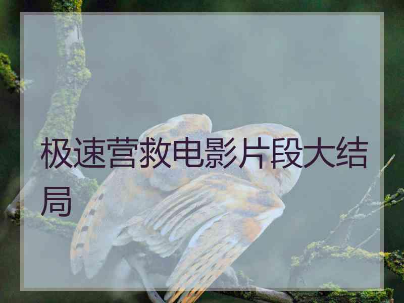极速营救电影片段大结局