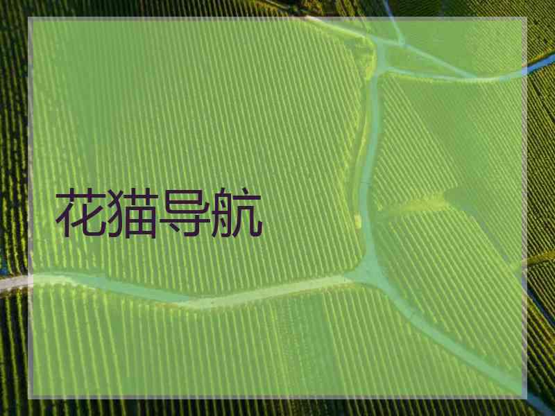 花猫导航