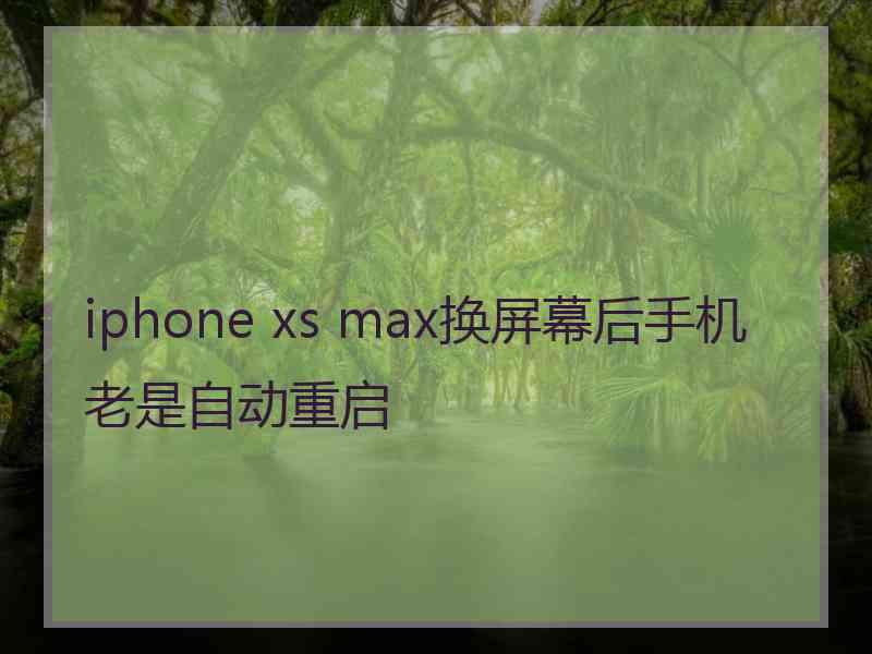 iphone xs max换屏幕后手机老是自动重启