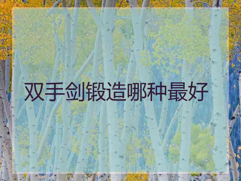 双手剑锻造哪种最好
