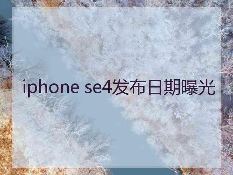 iphone se4发布日期曝光