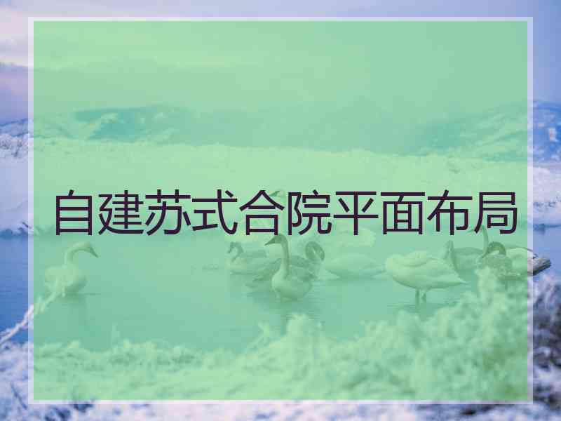 自建苏式合院平面布局