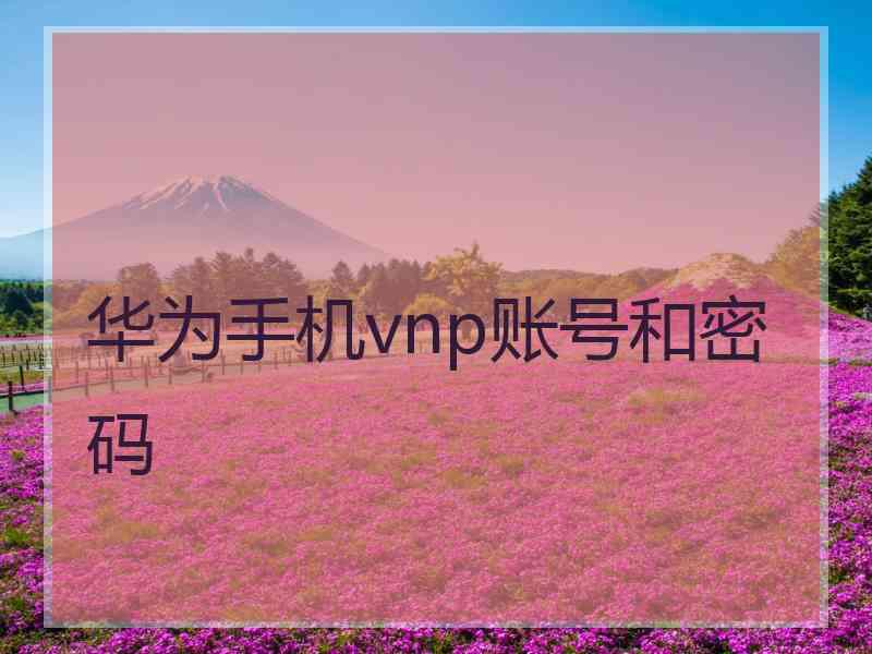 华为手机vnp账号和密码