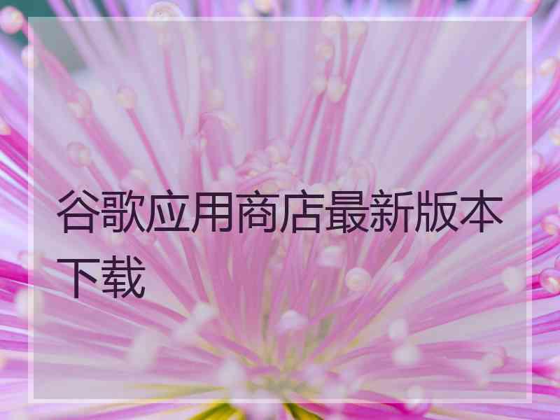 谷歌应用商店最新版本下载