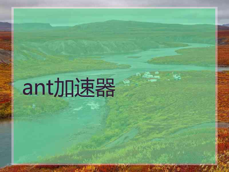 ant加速器