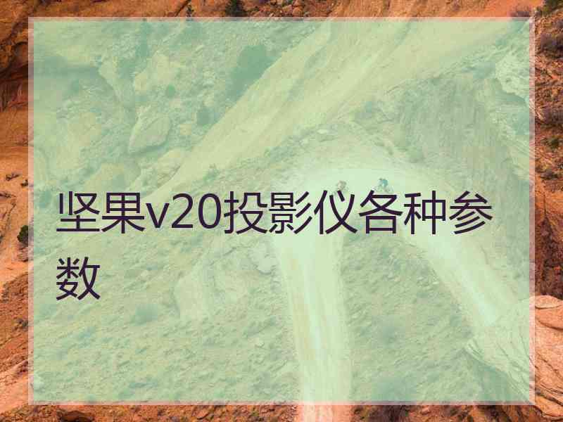 坚果v20投影仪各种参数