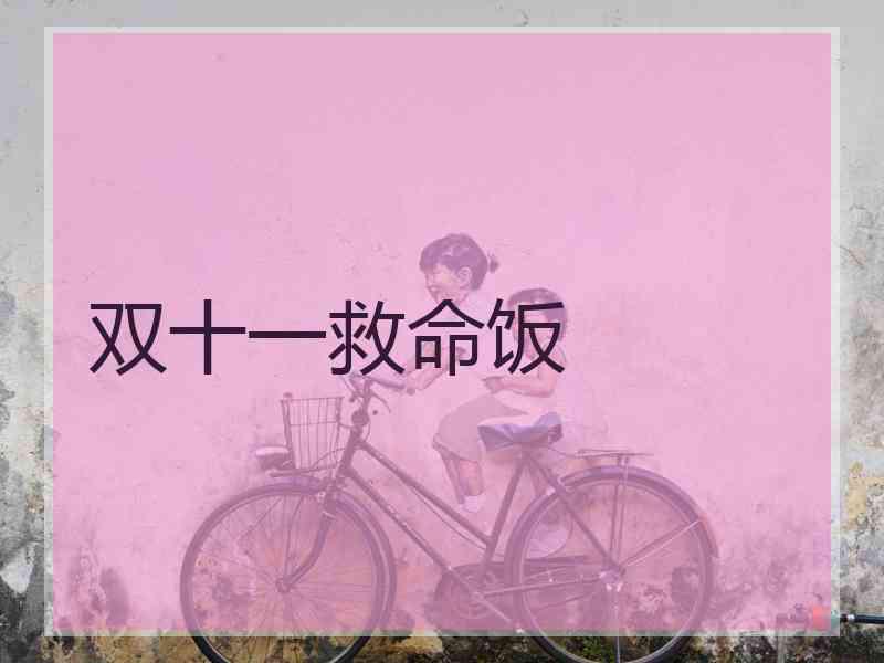双十一救命饭