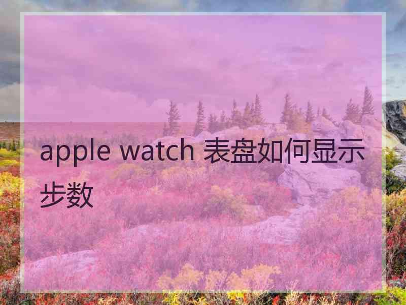 apple watch 表盘如何显示步数
