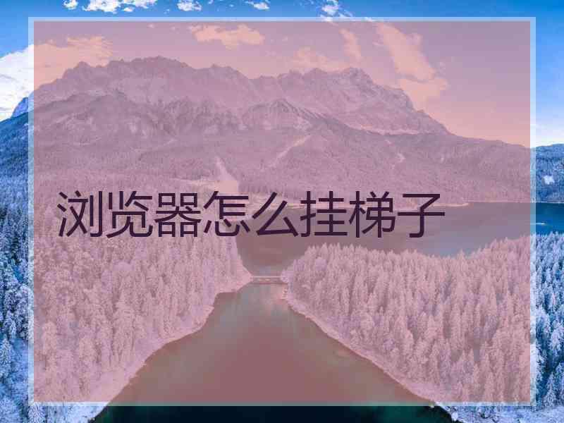 浏览器怎么挂梯子