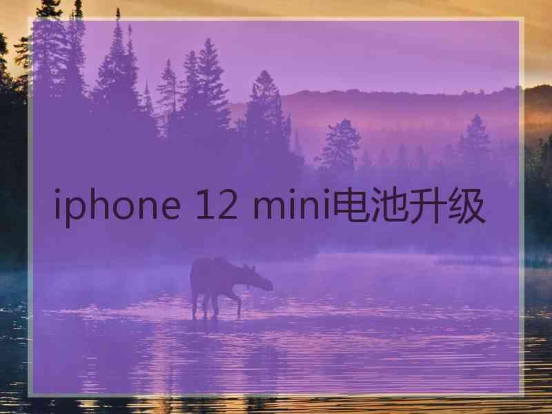 iphone 12 mini电池升级