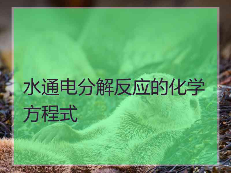 水通电分解反应的化学方程式
