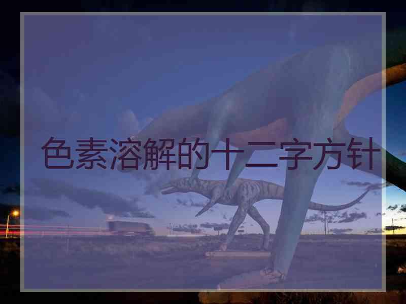 色素溶解的十二字方针