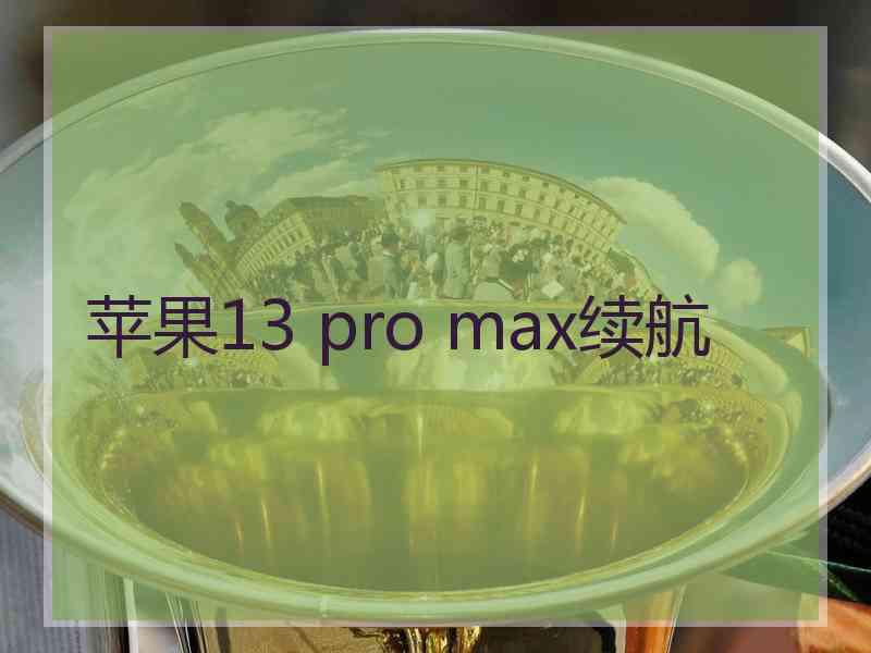 苹果13 pro max续航
