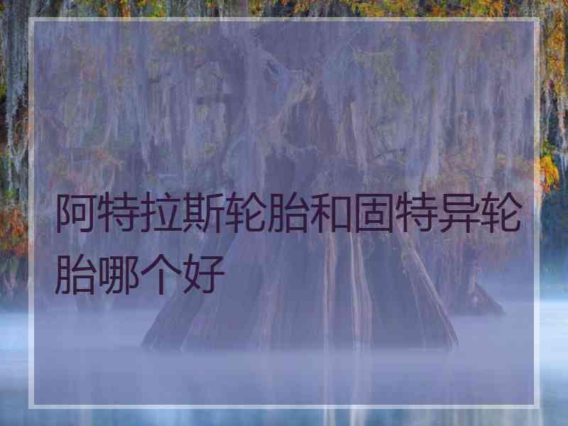 阿特拉斯轮胎和固特异轮胎哪个好