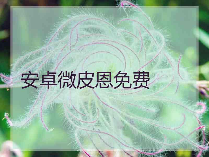 安卓微皮恩免费