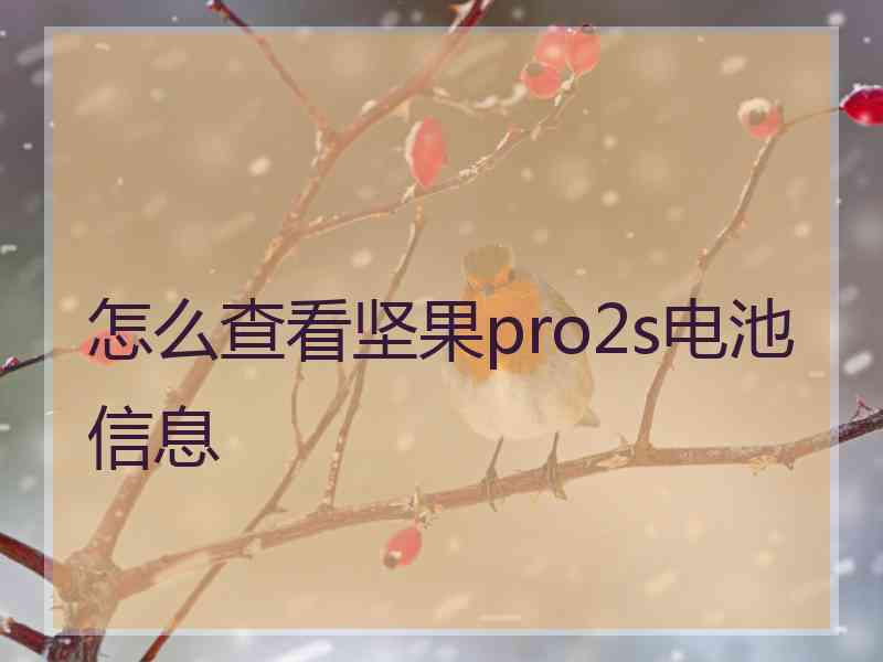 怎么查看坚果pro2s电池信息