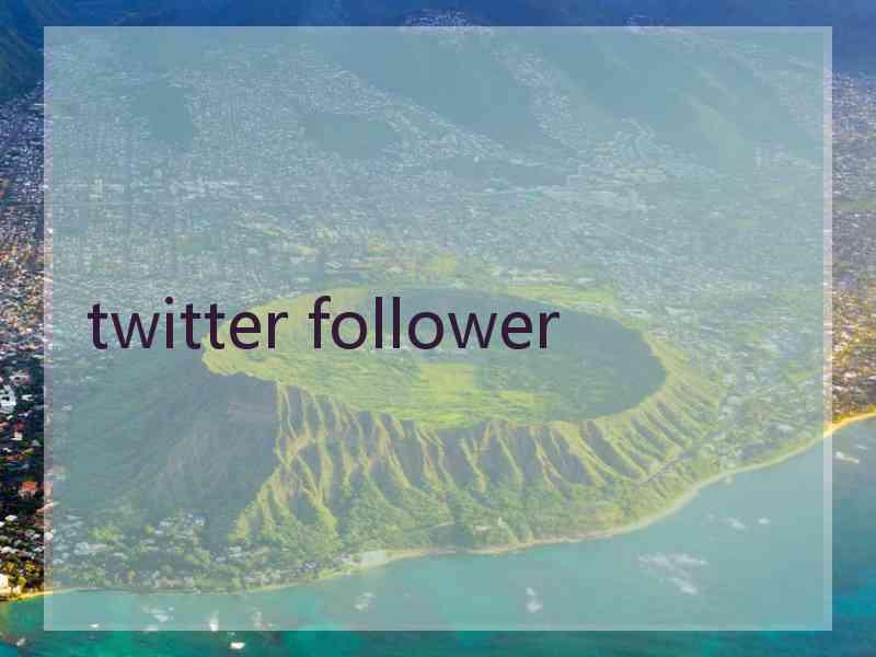 twitter follower