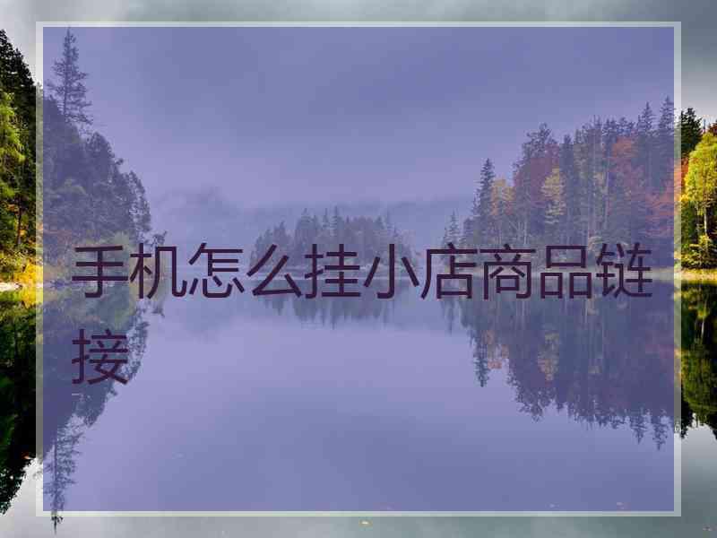 手机怎么挂小店商品链接