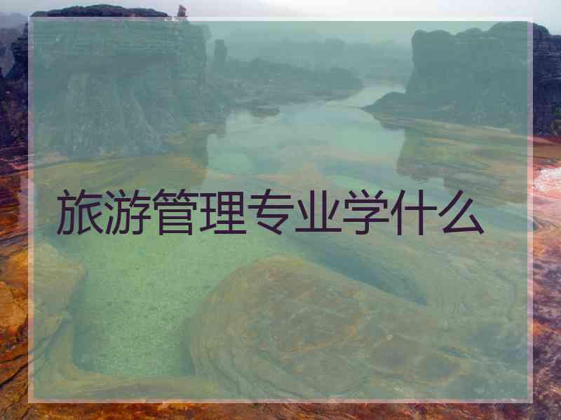 旅游管理专业学什么