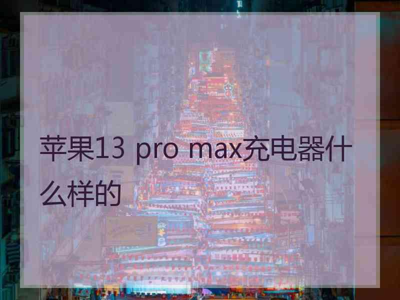 苹果13 pro max充电器什么样的
