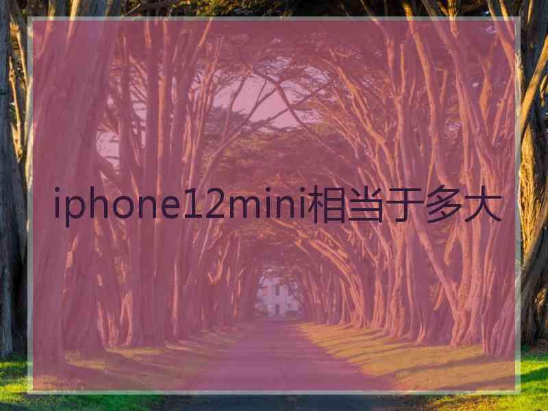 iphone12mini相当于多大