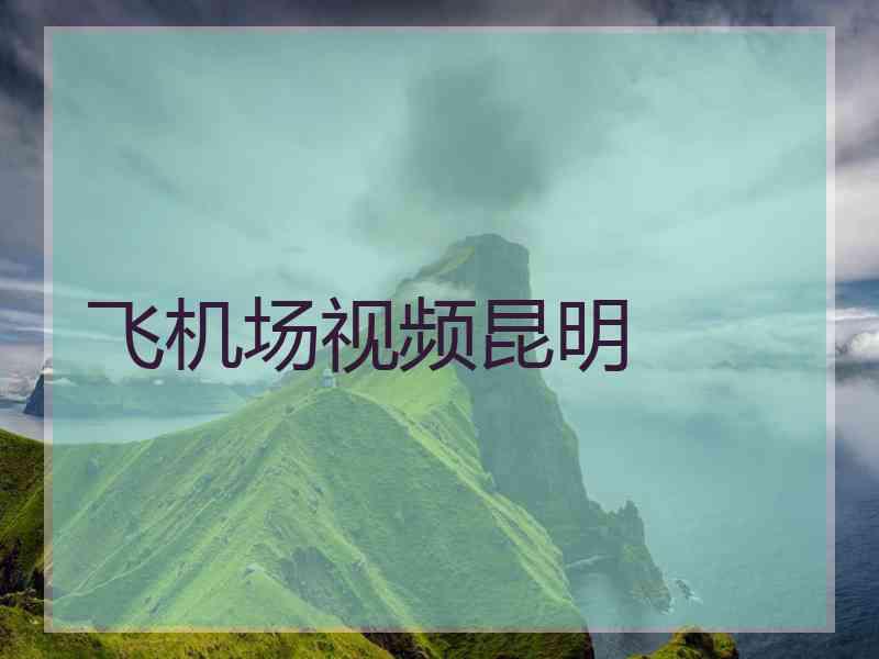 飞机场视频昆明