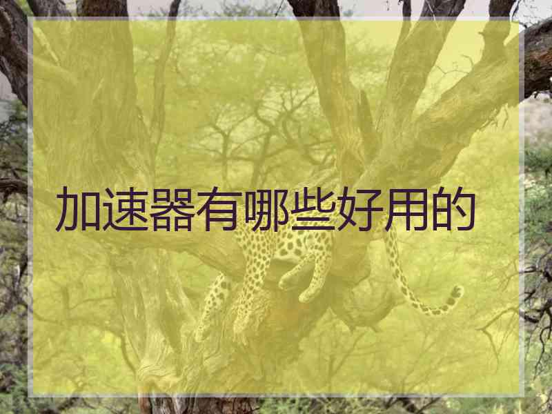 加速器有哪些好用的