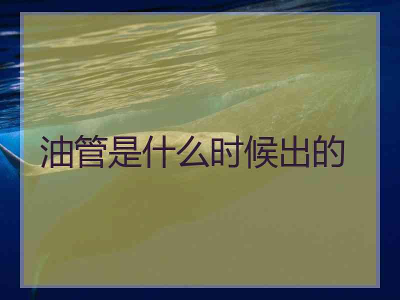 油管是什么时候出的
