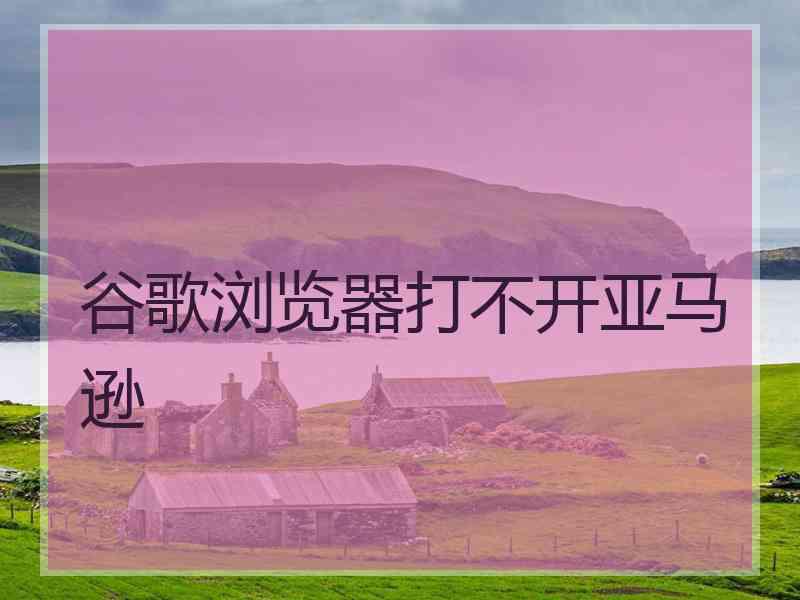 谷歌浏览器打不开亚马逊