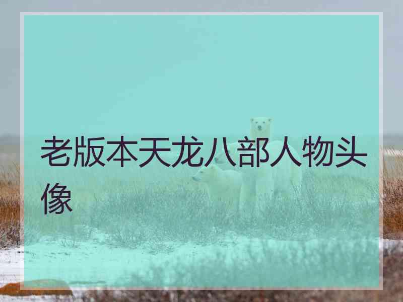 老版本天龙八部人物头像