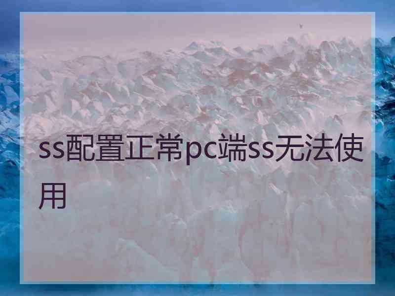 ss配置正常pc端ss无法使用
