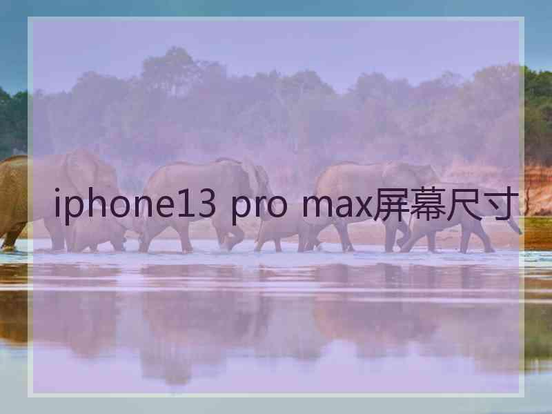 iphone13 pro max屏幕尺寸