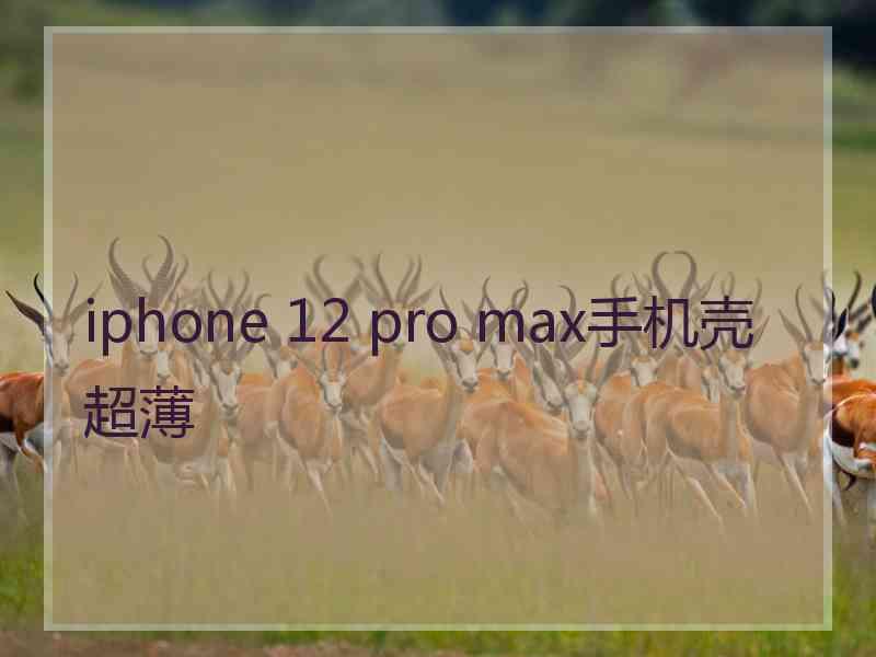 iphone 12 pro max手机壳超薄